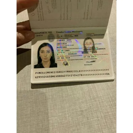 Fake Mexican Passport