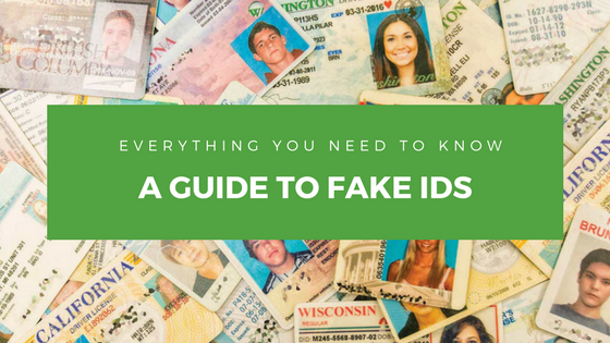 New European Union(EU) National ID Cards Legit or Not?