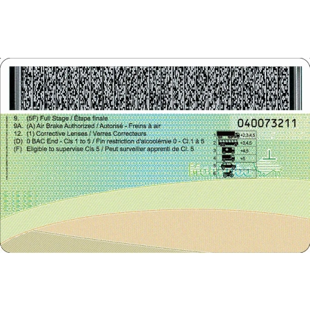 Manitoba Driver Licence