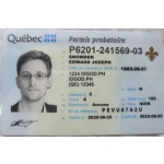 Quebec Driver Licence