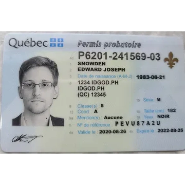 Quebec Driver Licence