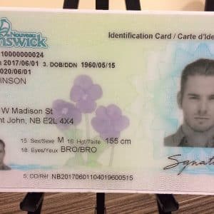 New Brunswick Driver Licence