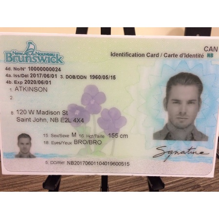 New Brunswick Driver Licence