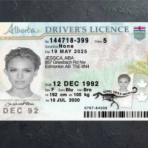 Alberta Driver Licence