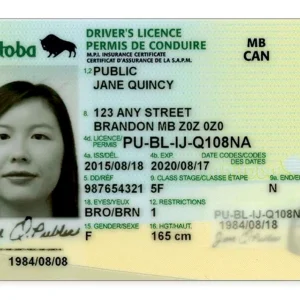 Manitoba Driver Licence