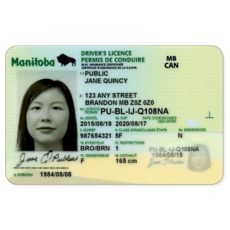 Manitoba Driver Licence