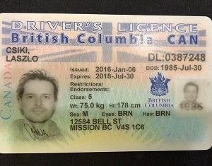 british columbia driver licence