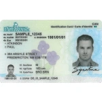 New Brunswick Driver Licence