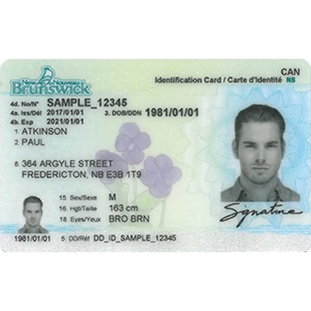 New Brunswick Driver Licence