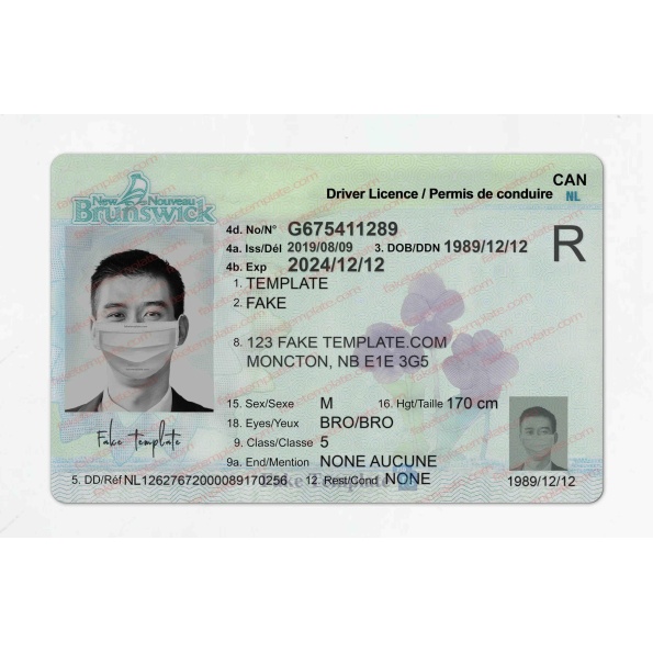 New Brunswick Driver Licence