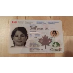 Buy The Canadian Permanent Residence Permit