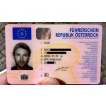 Kaufen Sie einen österreichischen Führerschein